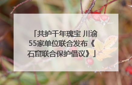 共护千年瑰宝 川渝55家单位联合发布《石窟联合保护倡议》