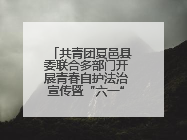 共青团夏邑县委联合多部门开展青春自护法治宣传暨“六一”主题日活动