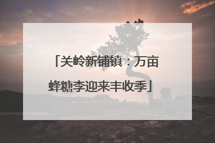 关岭新铺镇：万亩蜂糖李迎来丰收季