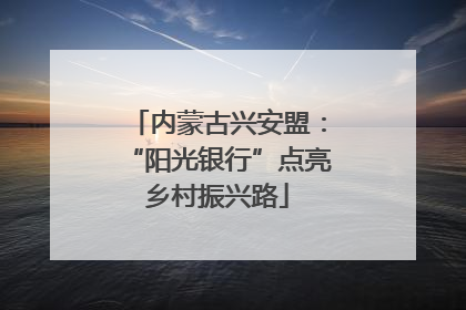 内蒙古兴安盟：“阳光银行”点亮乡村振兴路