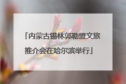 内蒙古锡林郭勒盟文旅推介会在哈尔滨举行