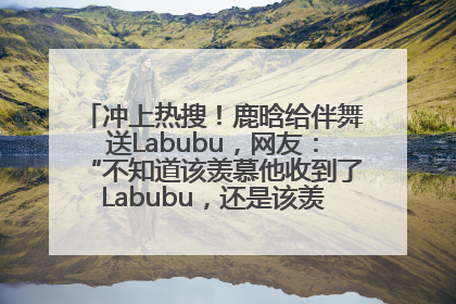 冲上热搜！鹿晗给伴舞送Labubu，网友：“不知道该羡慕他收到了Labubu，还是该羡慕鹿晗送他礼物”