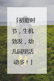 初夏时节，生机勃发，幼儿园里活动多！