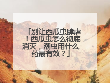 别让西瓜虫肆虐！西瓜虫怎么彻底消灭，潮虫用什么药最有效？