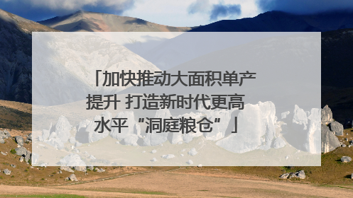 加快推动大面积单产提升 打造新时代更高水平“洞庭粮仓”
