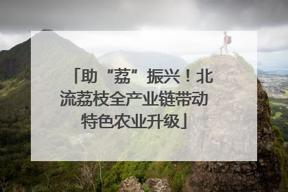 助“荔”振兴！北流荔枝全产业链带动特色农业升级