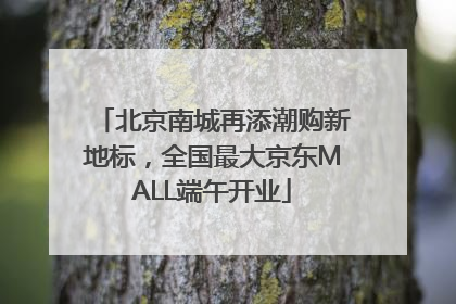 北京南城再添潮购新地标，全国最大京东MALL端午开业