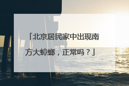 北京居民家中出现南方大蟑螂，正常吗？