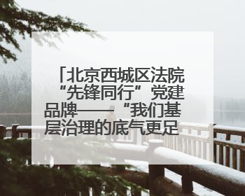 北京西城区法院“先锋同行”党建品牌——“我们基层治理的底气更足了！”