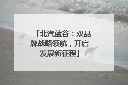 北汽蓝谷：双品牌战略领航，开启发展新征程