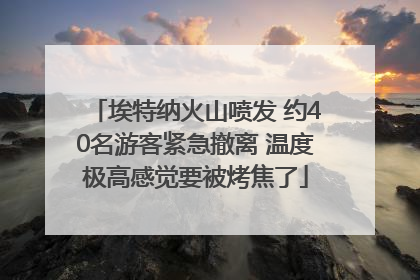 埃特纳火山喷发 约40名游客紧急撤离 温度极高感觉要被烤焦了