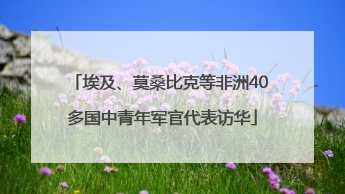 埃及、莫桑比克等非洲40多国中青年军官代表访华
