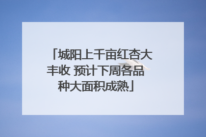 城阳上千亩红杏大丰收 预计下周各品种大面积成熟