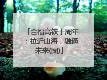 合福高铁十周年：拉近山海，融通未来(图)