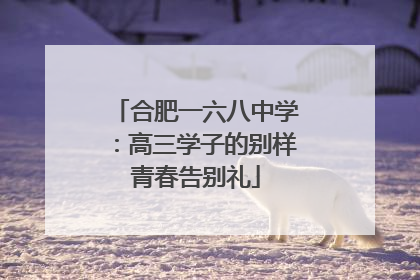 合肥一六八中学：高三学子的别样青春告别礼