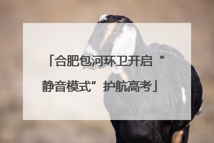合肥包河环卫开启“静音模式”护航高考