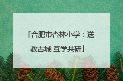 合肥市杏林小学：送教古城 互学共研