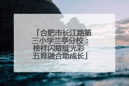合肥市长江路第三小学兰亭分校：榜样闪耀绽光彩 五育融合助成长