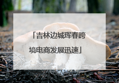 吉林边城珲春跨境电商发展迅速