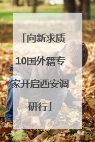 向新求质 10国外籍专家开启西安调研行