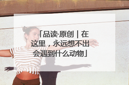 品读·原创｜在这里，永远想不出会遇到什么动物
