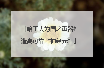 哈工大为国之重器打造高可靠“神经元”