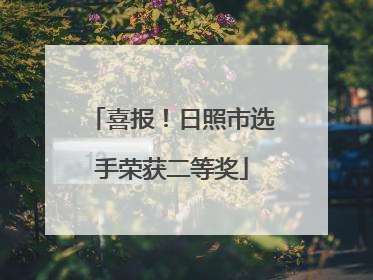 喜报！日照市选手荣获二等奖
