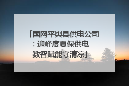 国网平舆县供电公司：迎峰度夏保供电  数智赋能守清凉