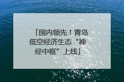 国内领先！青岛低空经济生态“神经中枢”上线