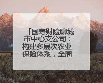 国寿财险聊城市中心支公司：构建多层次农业保险体系，全周期护航樱桃产业发展