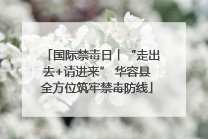 国际禁毒日丨“走出去+请进来” 华容县全方位筑牢禁毒防线