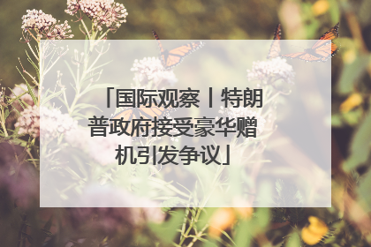国际观察丨特朗普政府接受豪华赠机引发争议