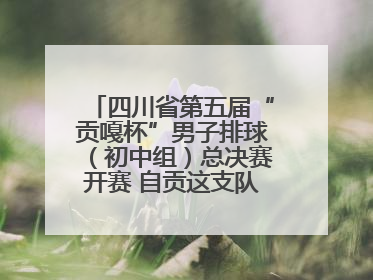 四川省第五届“贡嘎杯”男子排球（初中组）总决赛开赛 自贡这支队伍打进半决赛