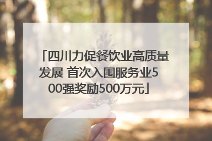 四川力促餐饮业高质量发展 首次入围服务业500强奖励500万元