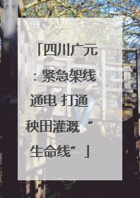 四川广元：紧急架线通电 打通秧田灌溉“生命线”