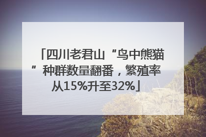 四川老君山“鸟中熊猫”种群数量翻番，繁殖率从15%升至32%