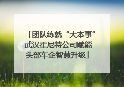 团队练就“大本事” 武汉霍尼特公司赋能头部车企智慧升级