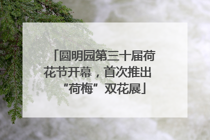 圆明园第三十届荷花节开幕，首次推出“荷梅”双花展