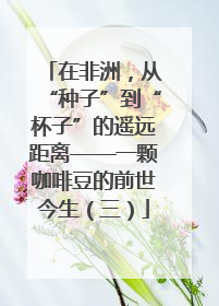 在非洲，从“种子”到“杯子”的遥远距离——一颗咖啡豆的前世今生（三）