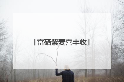 富硒紫麦喜丰收