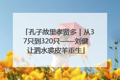 孔子故里孝贤多｜从37只到320只——刘健让泗水裘皮羊重生
