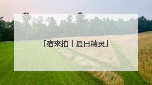 宿来拍丨夏日精灵