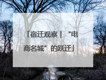 宿迁观察｜“电商名城”的跃迁