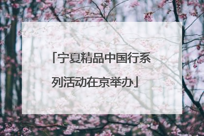 宁夏精品中国行系列活动在京举办