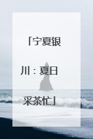 宁夏银川：夏日采茶忙