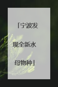 宁波发现全新水母物种