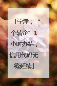 宁津：“个转企”1小时办结，信用代码无缝延续