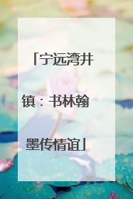 宁远湾井镇：书林翰墨传情谊