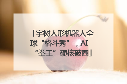 宇树人形机器人全球“格斗秀”，AI“拳王”硬核破圈