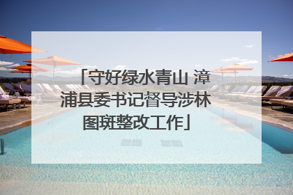 守好绿水青山 漳浦县委书记督导涉林图斑整改工作